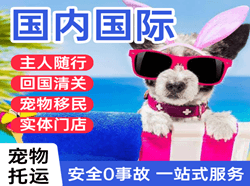 中卫沙坡头机场快运国际宠物托运 【国
